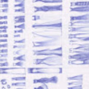 Meet your Posher, Mir